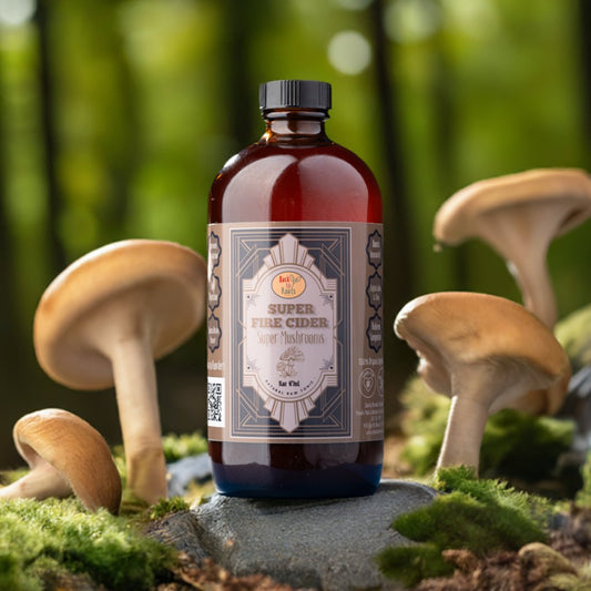 Super Mushroom - Back to Roots